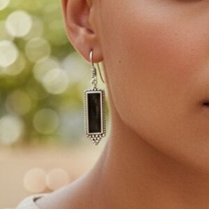 ✨️NWOT! Sterling Silver and Onyx French Hooks Drop Earrings!